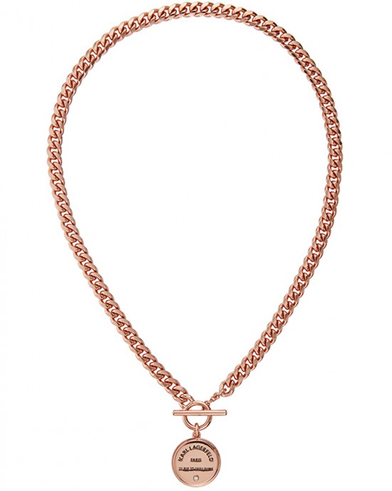 KARL LAGERFELD Brushed Necklace 5545255